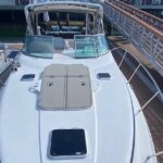 Private Luxury 45' Bay Cruiser Tour in San Diego: Suitable for Any Events - FAQs