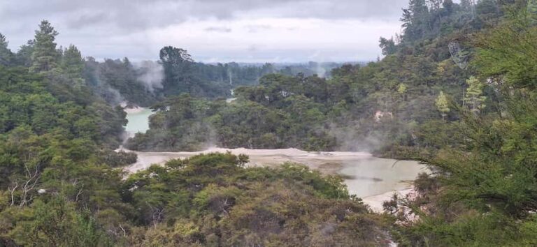 Private Luxury Auckland - Rotorua Geothermal Wonderlands - Scenic Drive from Auckland to Rotorua