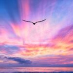 Private Luxury Sunset Cruise in Waikiki - Who Will Love This Tour?