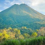 Private Luxury Transportation from the Airport to your Hotel - Why This Service Gets Rave Reviews