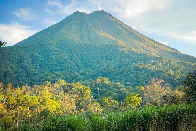 Private Luxury Transportation from the Airport to your Hotel - Why This Service Gets Rave Reviews