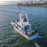 Private Luxury Whale Watching Tour in San Diego - Price Analysis & Value