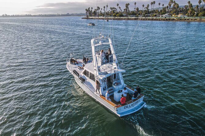 Private Luxury Whale Watching Tour in San Diego - Price Analysis & Value