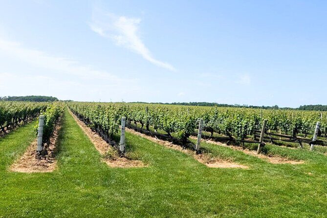 Private Luxury Wine Tours of Long Island Pindar Winery - FAQ