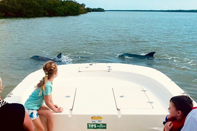 Private Marco Island / 10,000 Islands Sightseeing & Dolphin Tour - Breaking Down the Itinerary