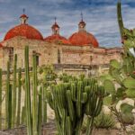 Private Mezcal Tasting Journey by Car in Oaxaca - FAQs