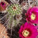 Private Montezuma Castle - Tuzigoot National Mont. in Luxury Car - Final Thoughts: Is This Tour Right for You?