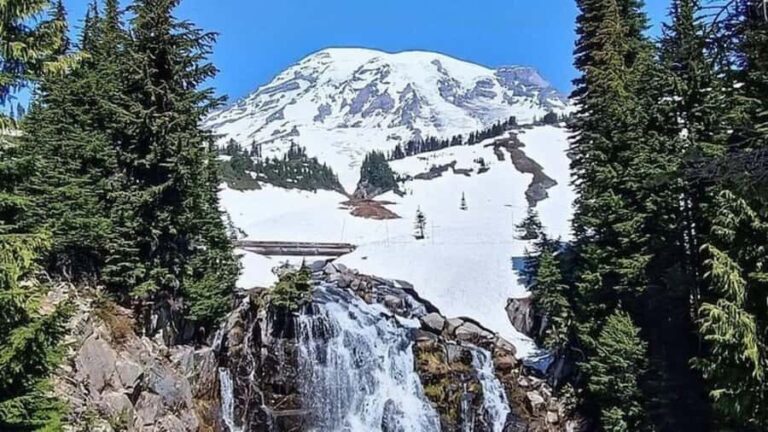 Private Mount Rainier tour from Portland - Who Is This Tour Best For?