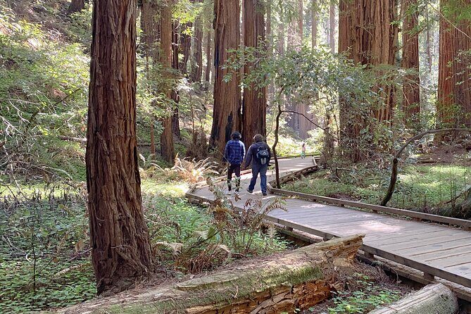 Private Muir Woods Tour Via Luxury Tesla - What’s Included and What’s Not