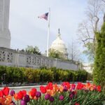 Private Multilingual DC City Tour (Spanish, Portuguese, English) - The vehicle and guide experience