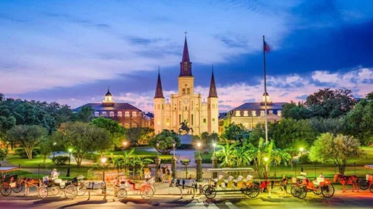 Private New Orleans Panoramic: With Drink and Souvenir - Authentic Experiences and Travel Insights