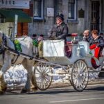 Private Niagara Ice Wine Tour - Transportation and Comfort