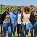 Private Niagara Wine Tour with Cheese and Charcuterie - Is It Worth the Price?