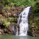 Private North Shore Oahu Tour ft. Waimea Falls-Customizable - The Itinerary in Detail: What to Expect