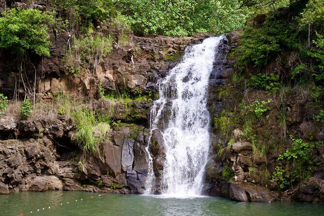 Private North Shore Oahu Tour ft. Waimea Falls-Customizable - The Itinerary in Detail: What to Expect