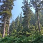 Private Northern Oregon Coast Tour - Visiting Nehalem Bay and Tillamook