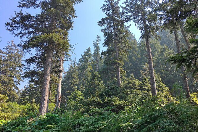 Private Northern Oregon Coast Tour - Visiting Nehalem Bay and Tillamook