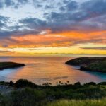 Private Oahu Half Circle Islander Tour with Pickup - What Travelers Can Expect