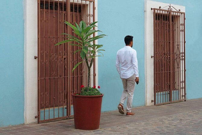 Private Oaxaca Walking Tour with Mezcal Tasting - Practical Details