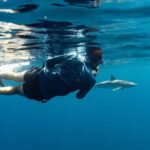 Private Ocean Seafari Swim with Wildlife in SJC - The Guides and Eco-Conscious Approach