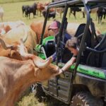 Private Off Road Explorer's Tour - What’s Included and How It Works