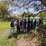 Private One Day Tour in Los Guachimontones and José Cuervo Tequila - What to Expect from the Tour