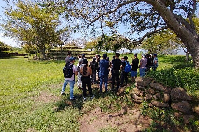 Private One Day Tour in Los Guachimontones and José Cuervo Tequila - What to Expect from the Tour