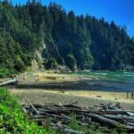 Private Oregon Coastal Tour to Cannon Beach and Haystack Rock - Who Is This Tour Best For?