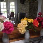 Private Palos Verdes Tour: Lighthouse, Ocean/City with Dinner - Who Will Love This Tour?