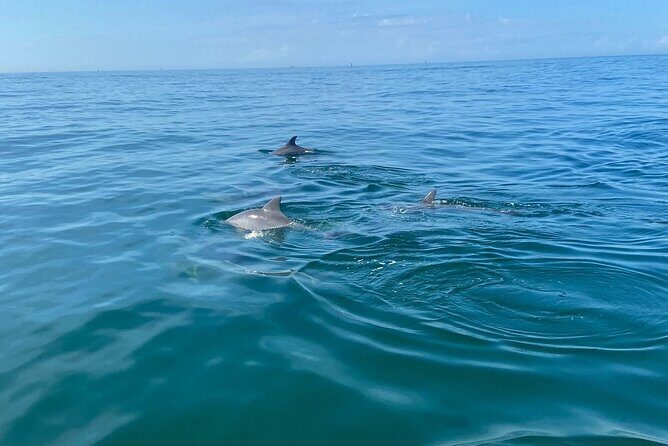 Private Panama City Beach Sunset Tour - Who Will Love This Tour?