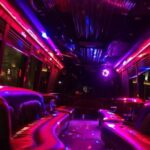 Private Party Bus Tour in Las Vegas - Who should consider this tour?