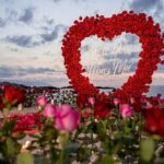 Private Photoshoot Giant Heart with Roses - The Setup: What to Expect from the Tour