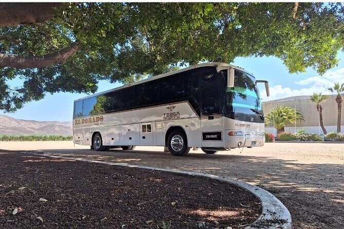 Private Round Transportation from Tijuana to Valle de Guadalupe - The Experience in Detail