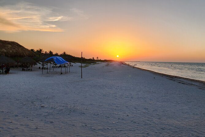 Private Roundtrip Transfer to "El Cuyo Yucatan" - Why Choose a Private Transfer?