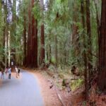 Private Russian River Day Trip from San Francisco: Redwoods and Wine Country - Final Thoughts