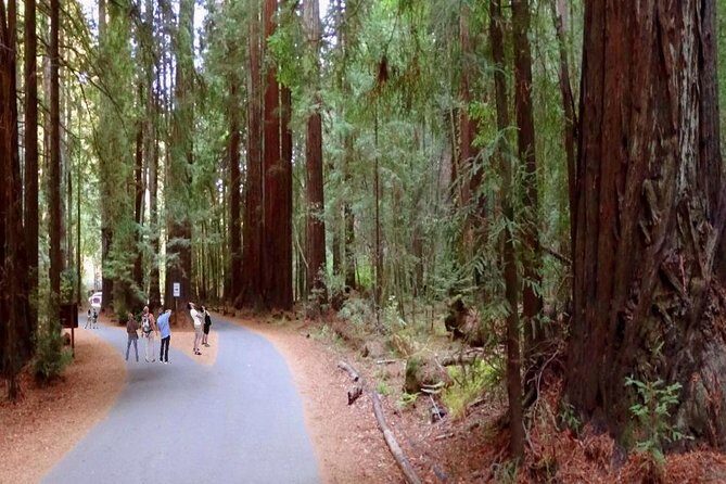 Private Russian River Day Trip from San Francisco: Redwoods and Wine Country - Final Thoughts