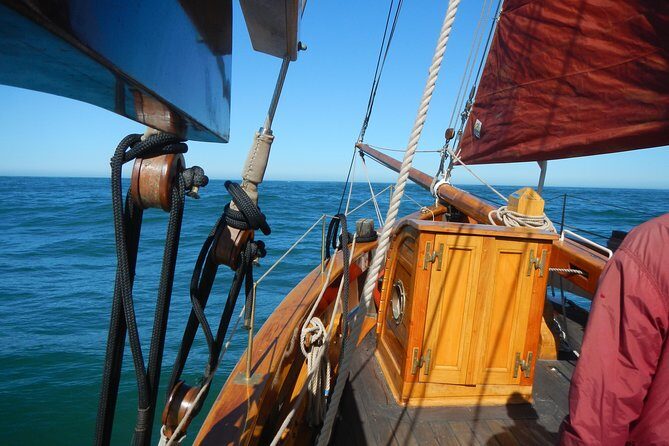 Private Sailing Tour -2 Hour (Up to 12 Passengers) - The Experience Onboard