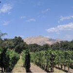 Private Santa Ynez Valley Wine Tasting Tour for up to 4 guests - The Value of the Experience