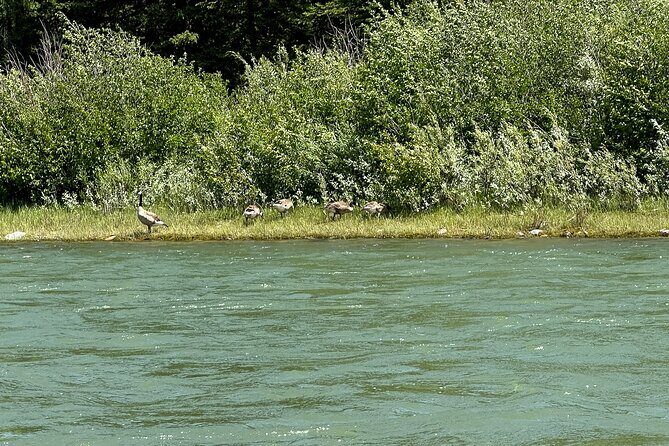 Private Scenic Snake River Float - Grand Teton Nat'l Park - Practical Tips for Your Trip