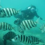 Private Scuba Diving Expert-Led Excursion Training with Tour - What’s Included and What to Consider