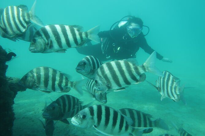 Private Scuba Diving Expert-Led Excursion Training with Tour - What’s Included and What to Consider