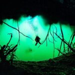 Private Scuba Diving in Cenote around Playa del Carmen - The Experience Itinerary: What to Expect