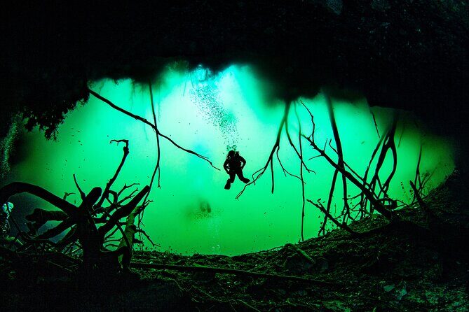 Private Scuba Diving in Cenote around Playa del Carmen - The Experience Itinerary: What to Expect