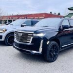 Private Seward Cruise Transit Tour with National Park and AWCC - Practical Details and What They Mean for Travelers