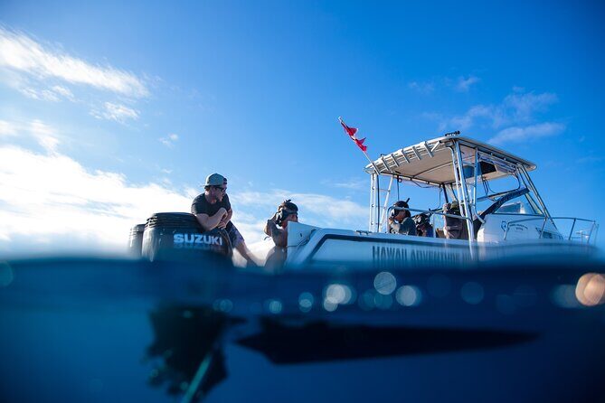 Private Shark Dive, Oahu, Hawaii (6 Guest) - The Value and Cost