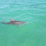 Private Sian Kaan Biosphere Tour - FAQs