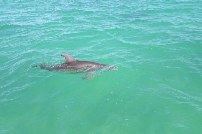 Private Sian Kaan Biosphere Tour - FAQs