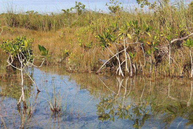 Private Sian Kaan Muyil Lazy River Tour - The Practicalities: How It Feels to Do the Tour