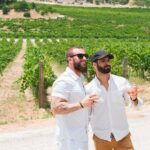 Private Sidecar Winery Tour through San Luis Obispo - Stops and Wine Tastings: Two Distinct Wine Experiences