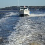 Private Sightseeing Boat Tour in Savannah - The Value in Details